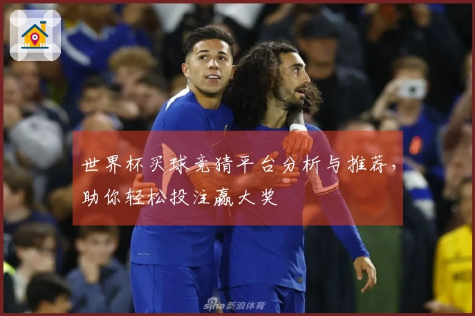世界杯买球竞猜平台分析与推荐，助你轻松投注赢大奖