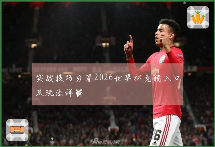 实战技巧分享2026世界杯竞猜入口及玩法详解