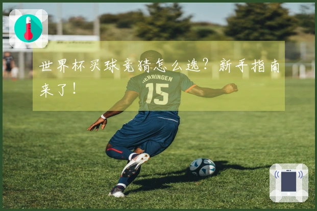 世界杯买球竞猜怎么选？新手指南来了！