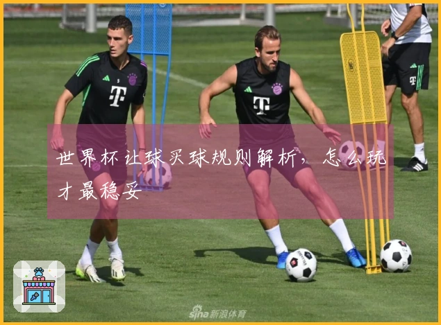 世界杯让球买球规则解析，怎么玩才最稳妥