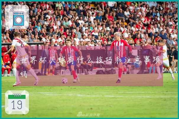 世界杯买球有什么技巧和注意事项吗