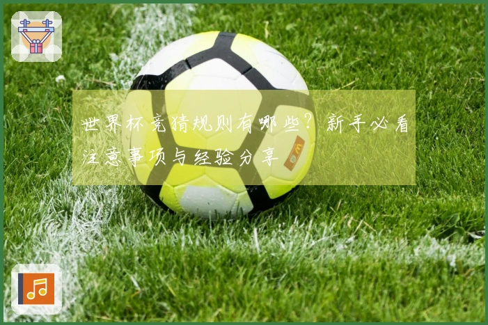 世界杯竞猜规则有哪些？新手必看注意事项与经验分享