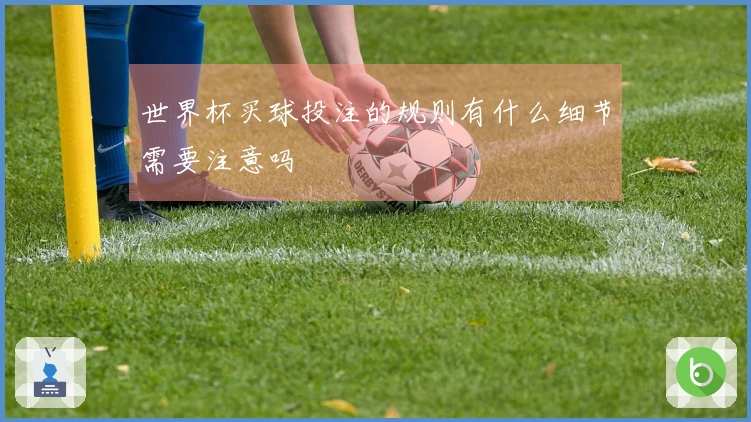 世界杯买球投注的规则有什么细节需要注意吗