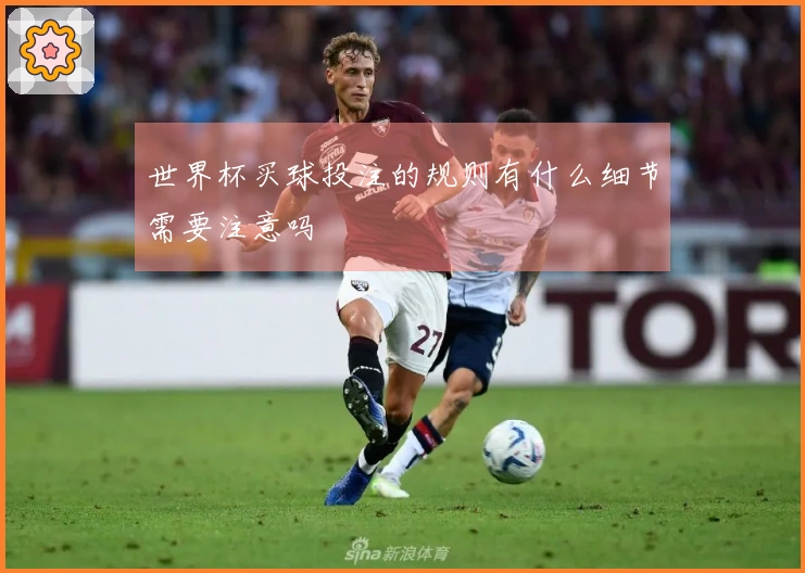 世界杯买球投注的规则有什么细节需要注意吗