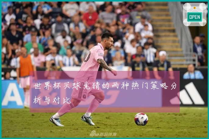 世界杯买球竞猜的两种热门策略分析与对比