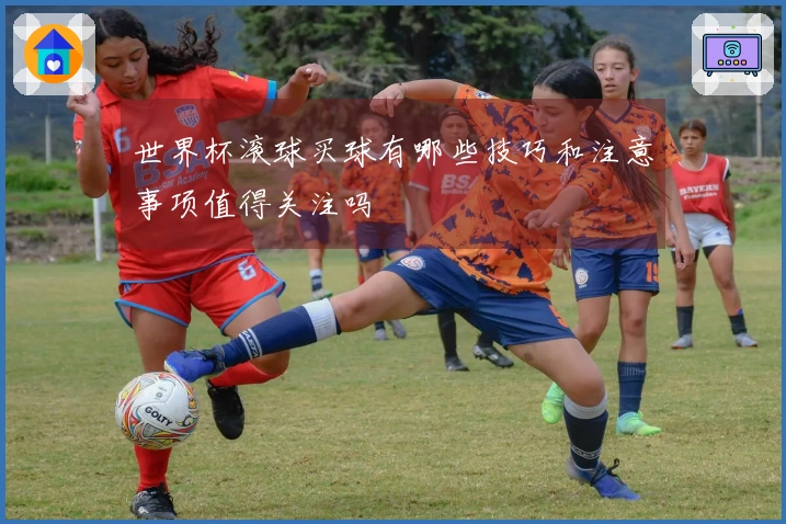 世界杯滚球买球有哪些技巧和注意事项值得关注吗