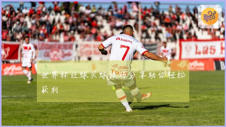 世界杯让球买球技巧分享助你轻松获利