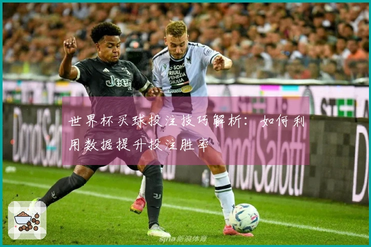 世界杯买球投注技巧解析：如何利用数据提升投注胜率
